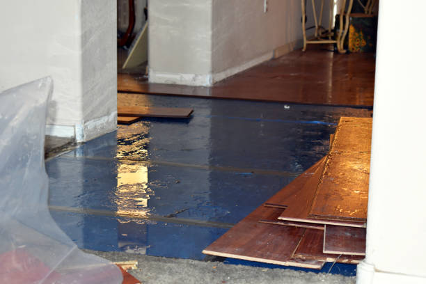 Professional Flood Damage Repair technician working in Raymond, WI